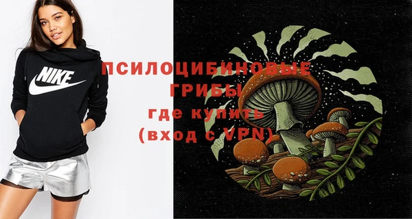 гидропоника Абдулино