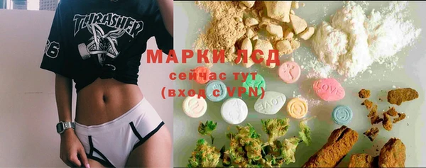 эйфоретик Алзамай