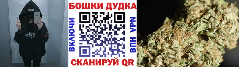 Конопля ГИДРОПОН Кочубеевское